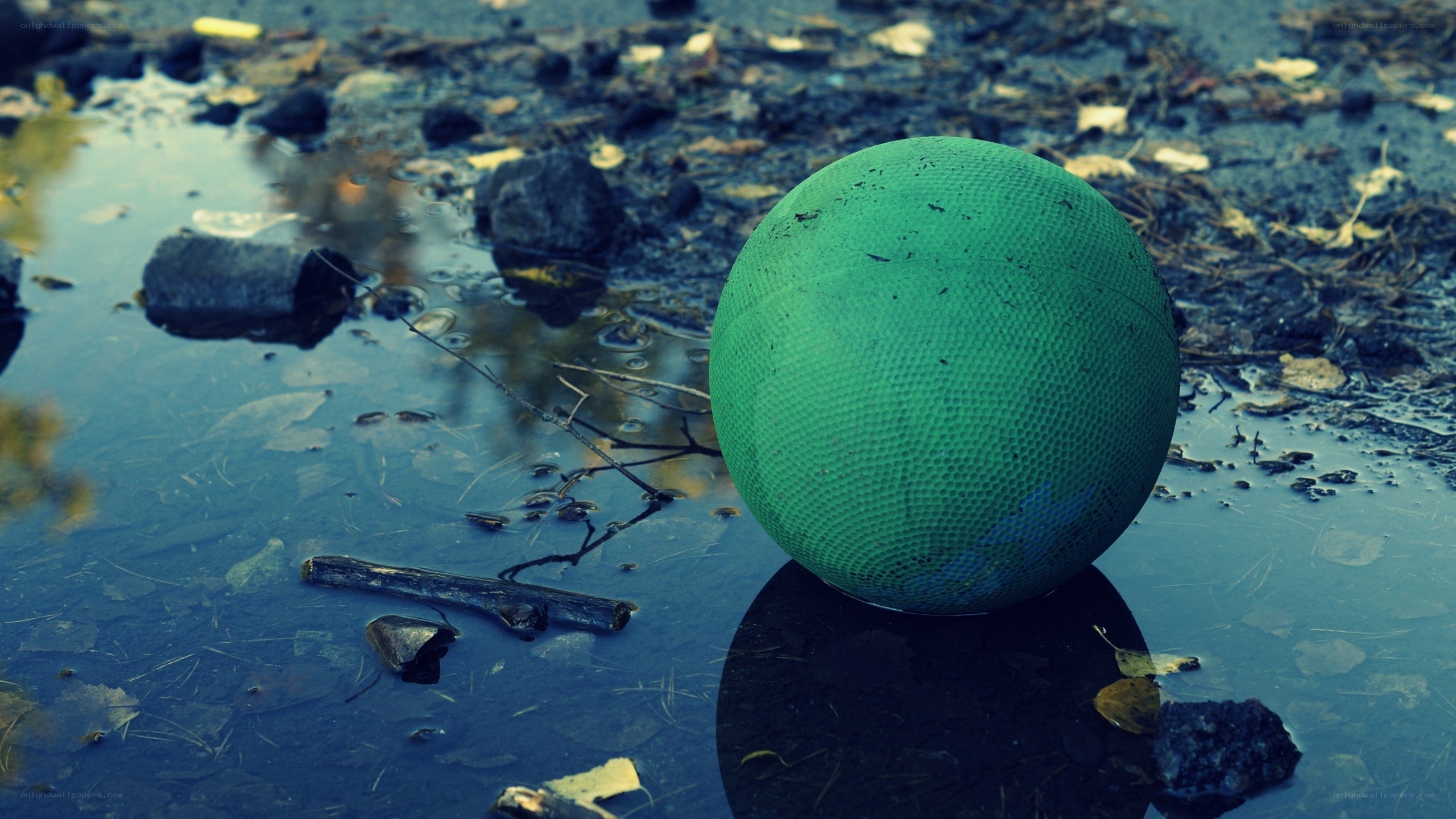 Green ball in a puddle