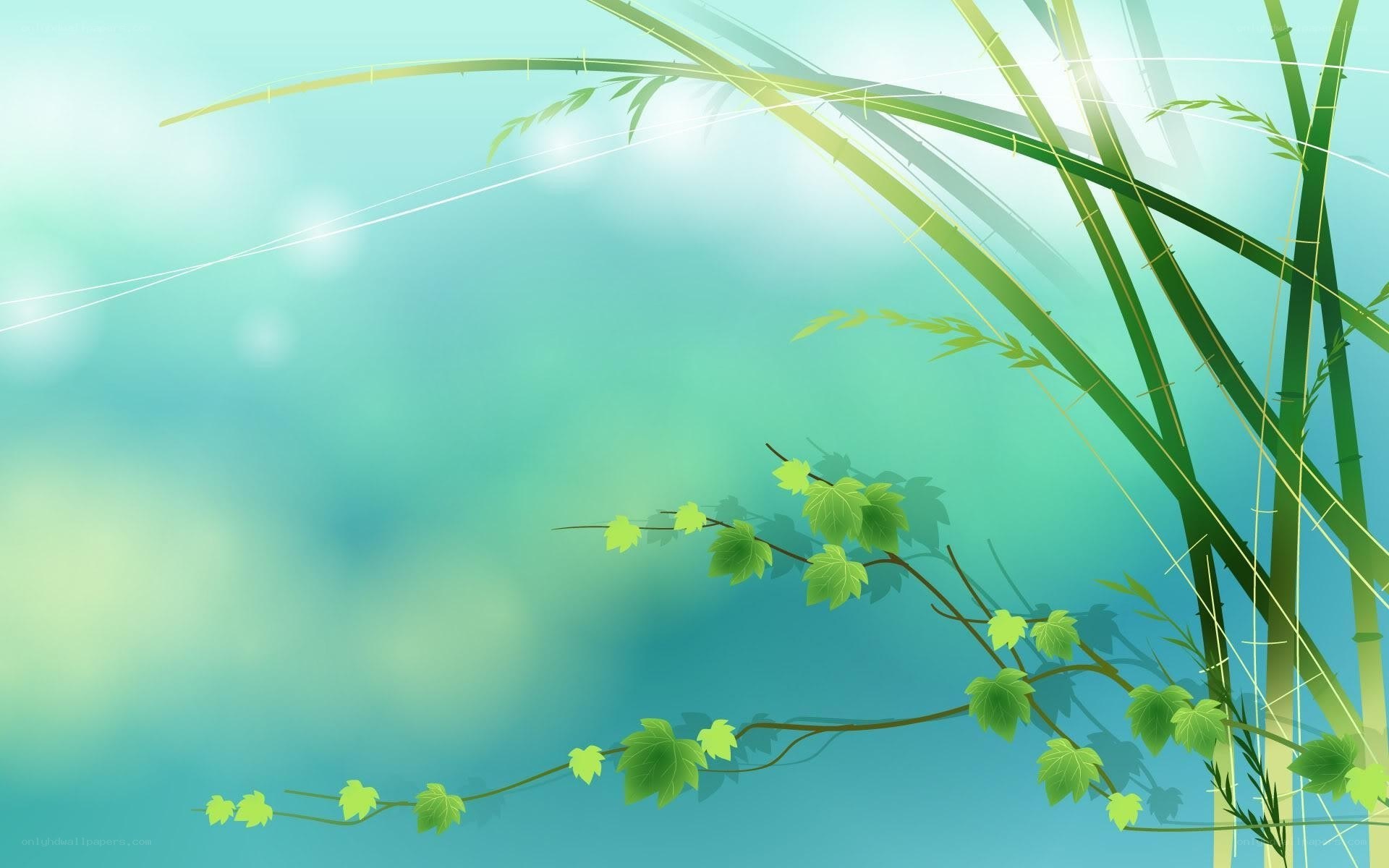 green bamboo and vines