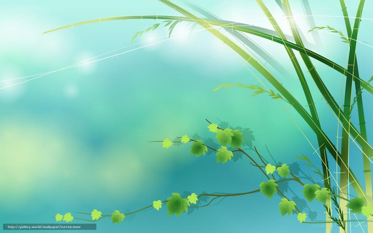 Green bamboo and vines