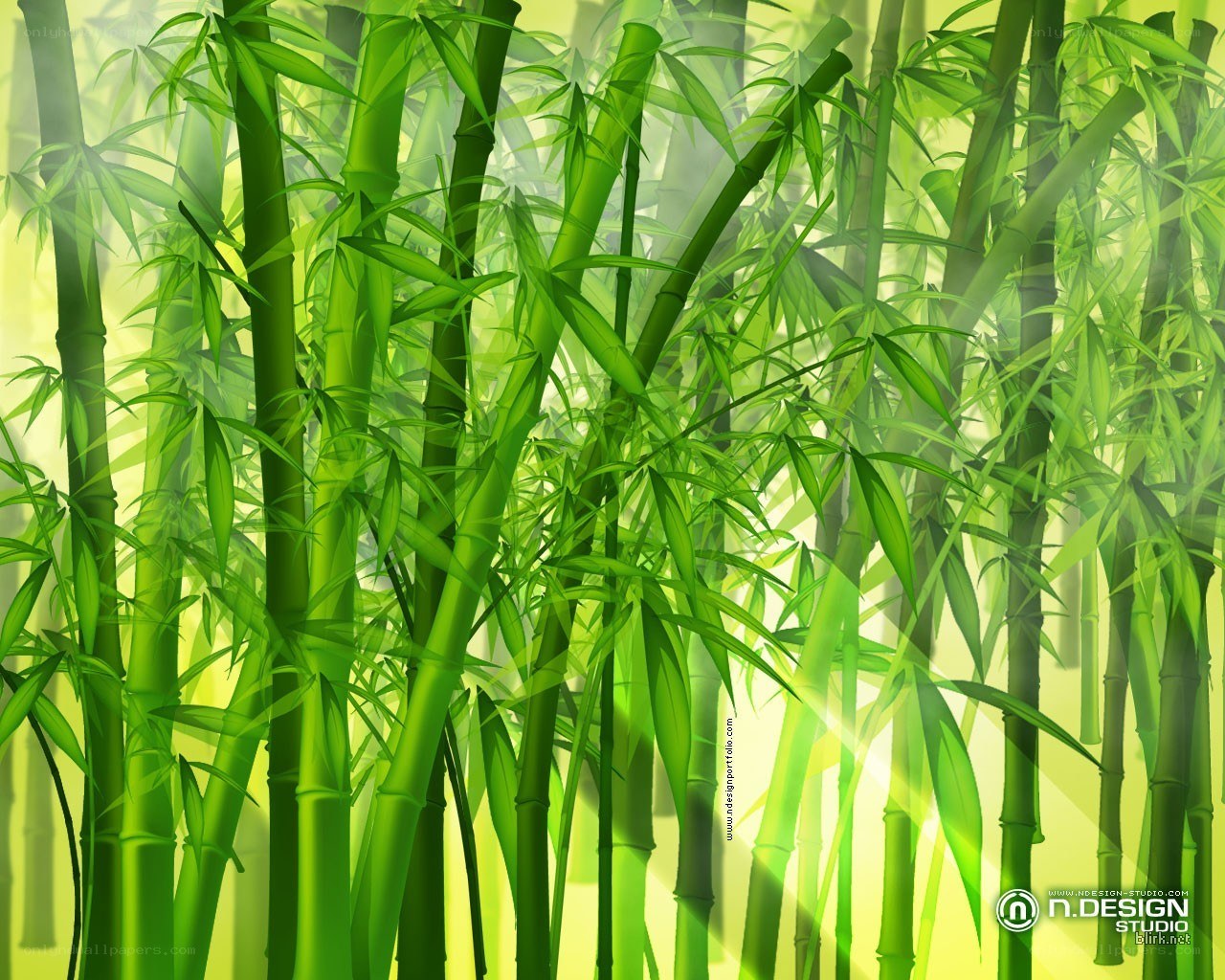 Green bamboo forest