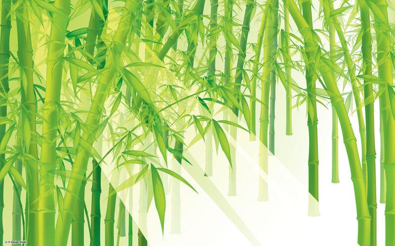 Green Bamboo Forest — Serene, Illustration