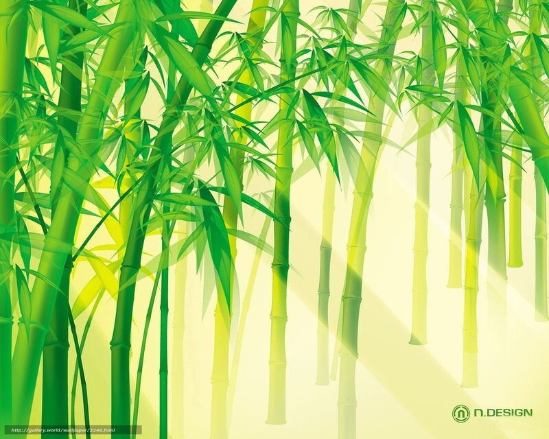 Green bamboo forest