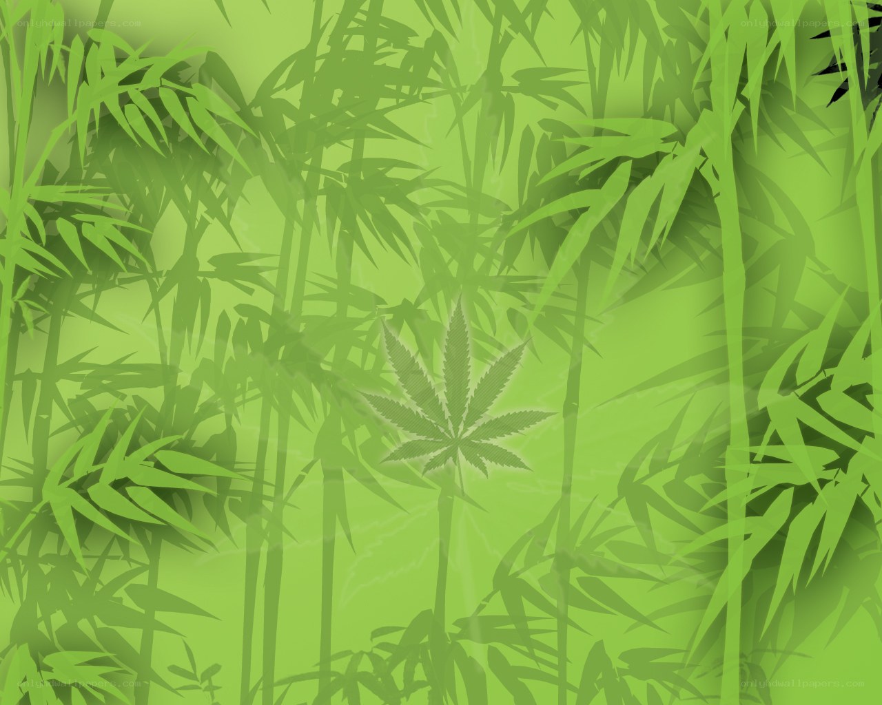 green bamboo forest with cannabis leaf