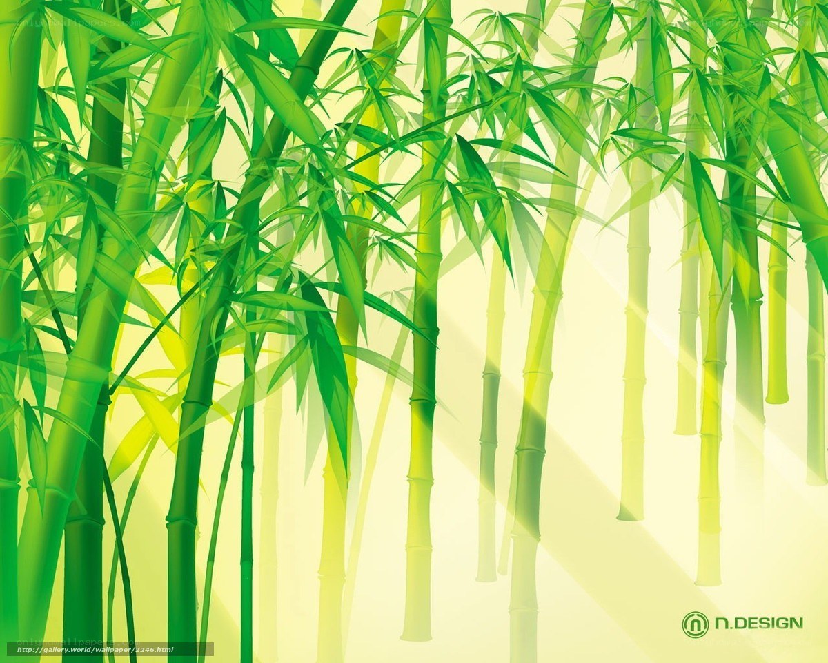 Green bamboo forest