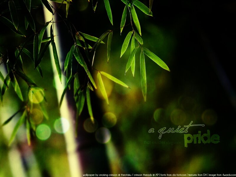 green bamboo leaves in sunlight