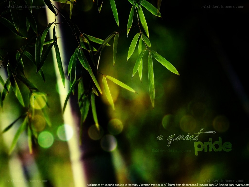 green bamboo leaves in sunlight