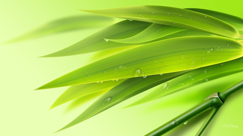 Green Bamboo Leaves — Serene, Digital Art