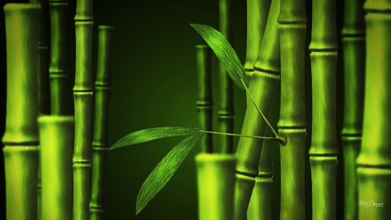 Green Bamboo Stalks — Serene, Digital Art