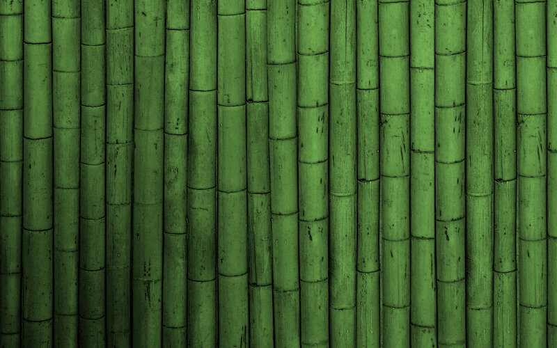 green bamboo texture