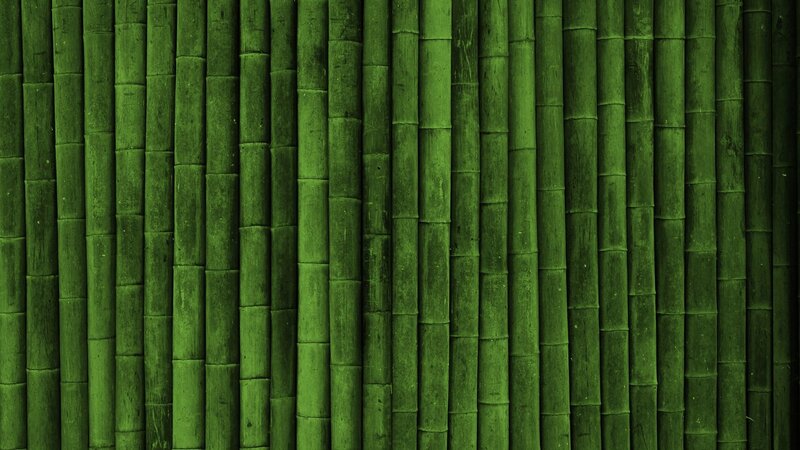 green bamboo texture