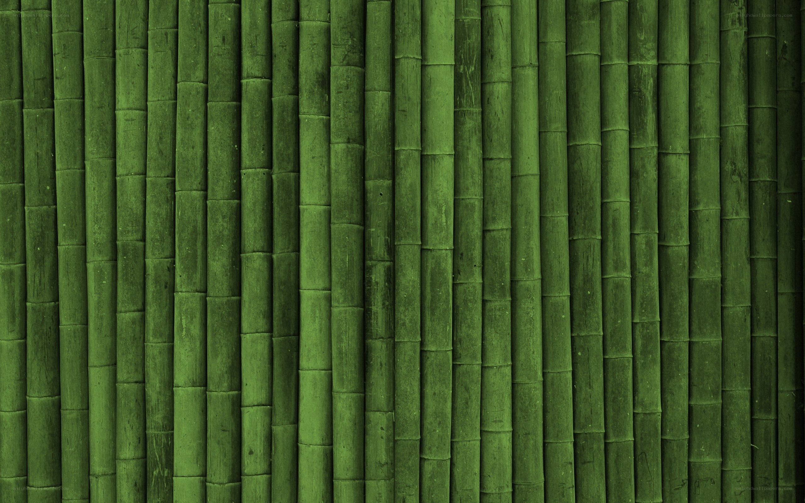green bamboo texture background