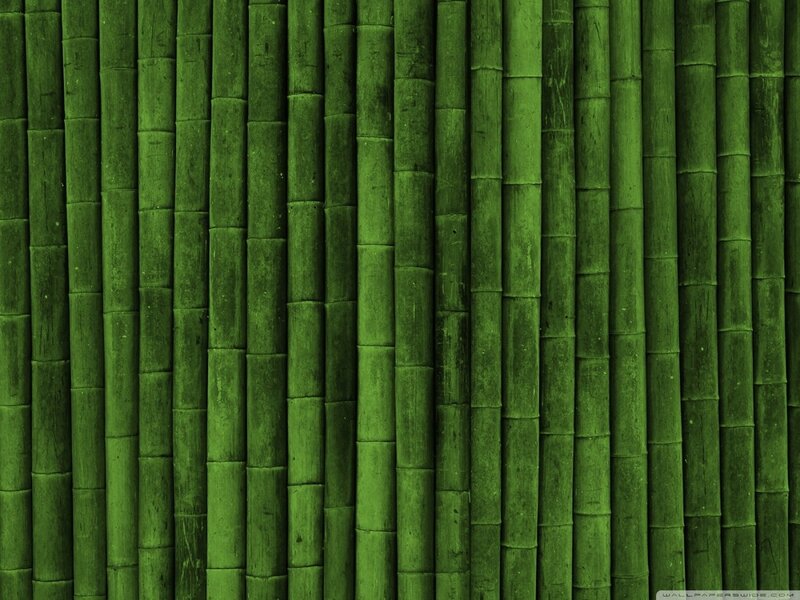 green bamboo texture background