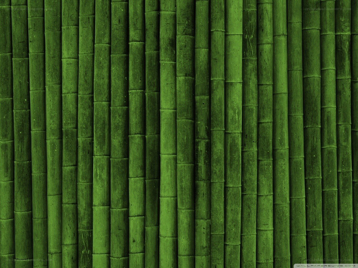 green bamboo texture background