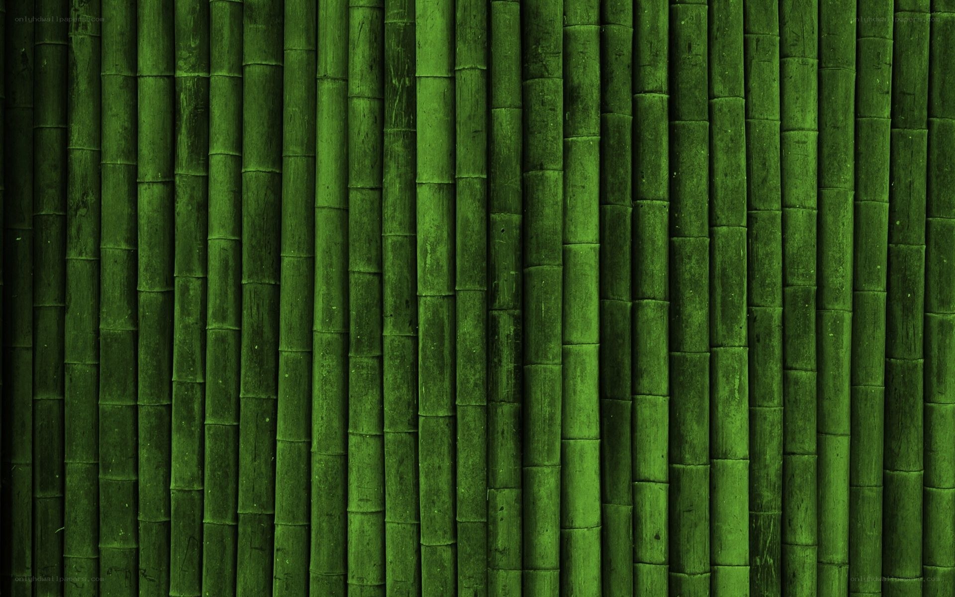 green bamboo texture background