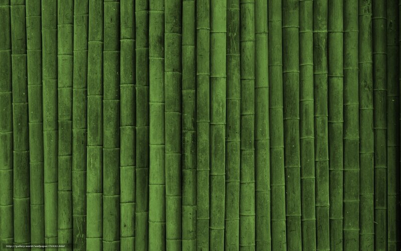 green bamboo texture background