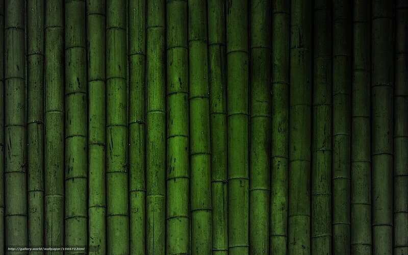 green bamboo texture