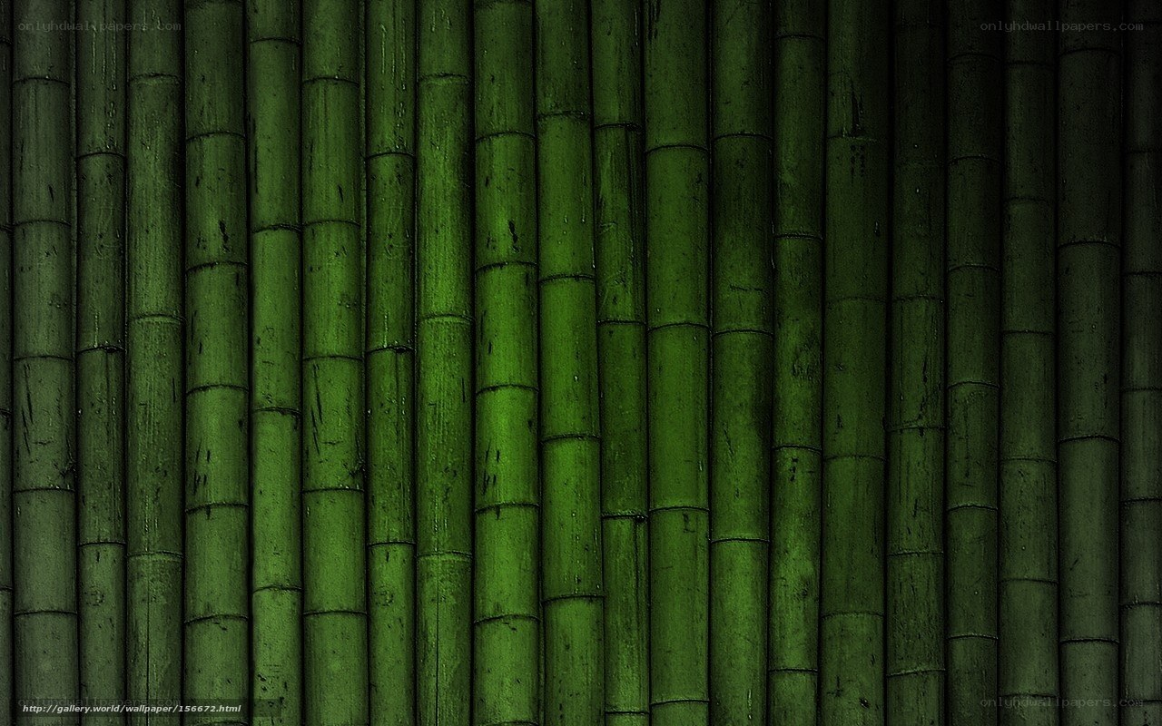 green bamboo texture