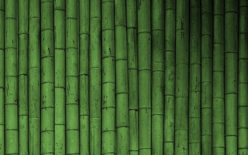 green bamboo wall texture