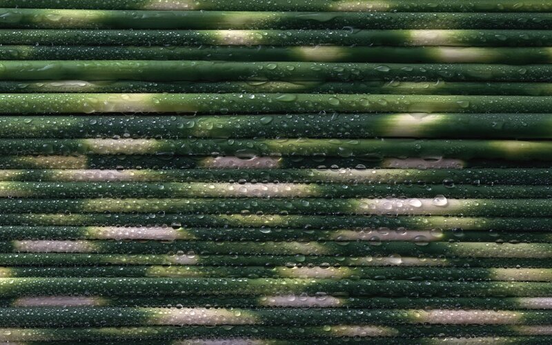 Green bamboo with water droplets