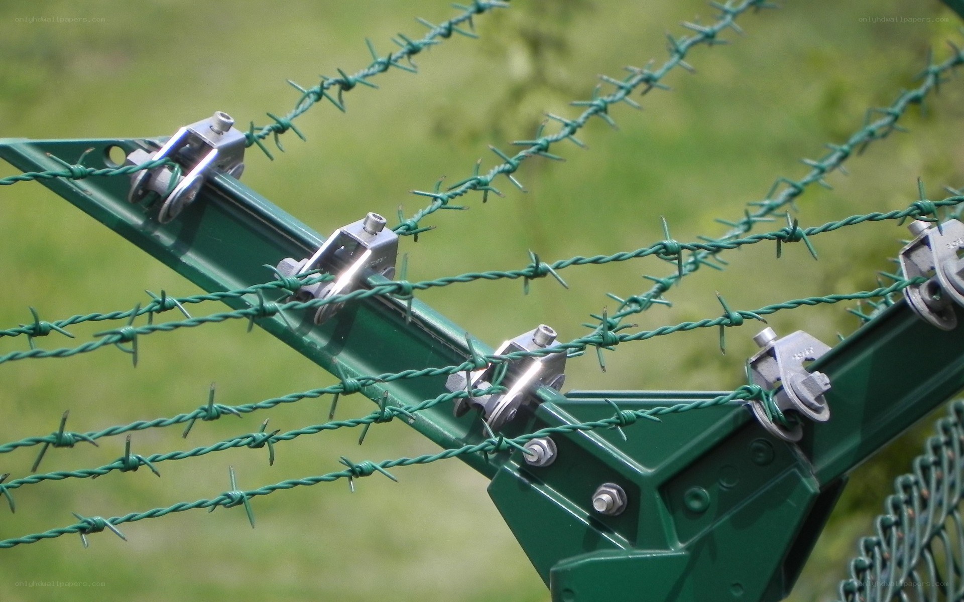 green barbed wire fence