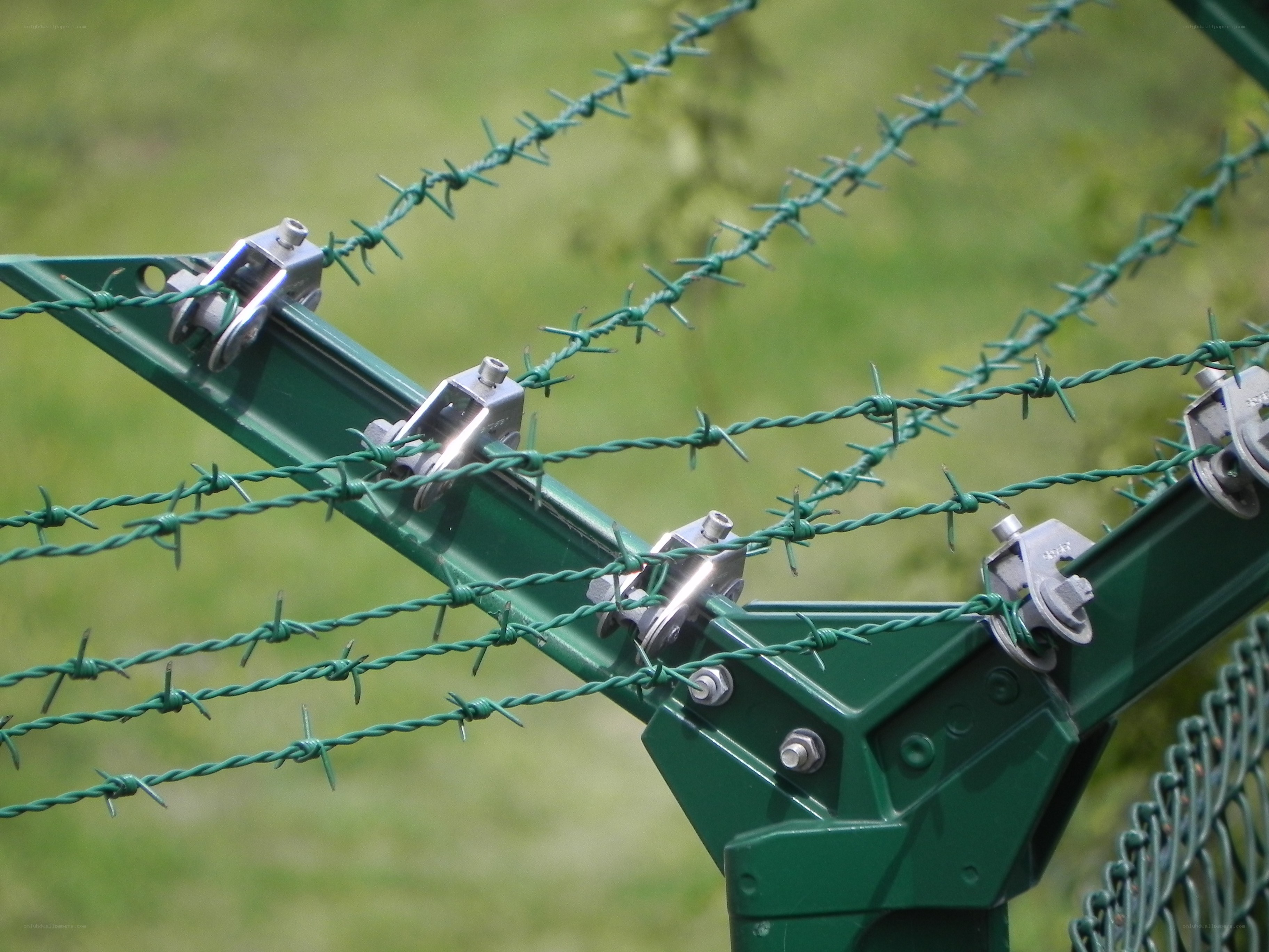 green barbed wire fence