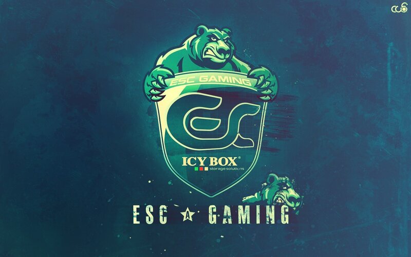 Green Bear Mascot