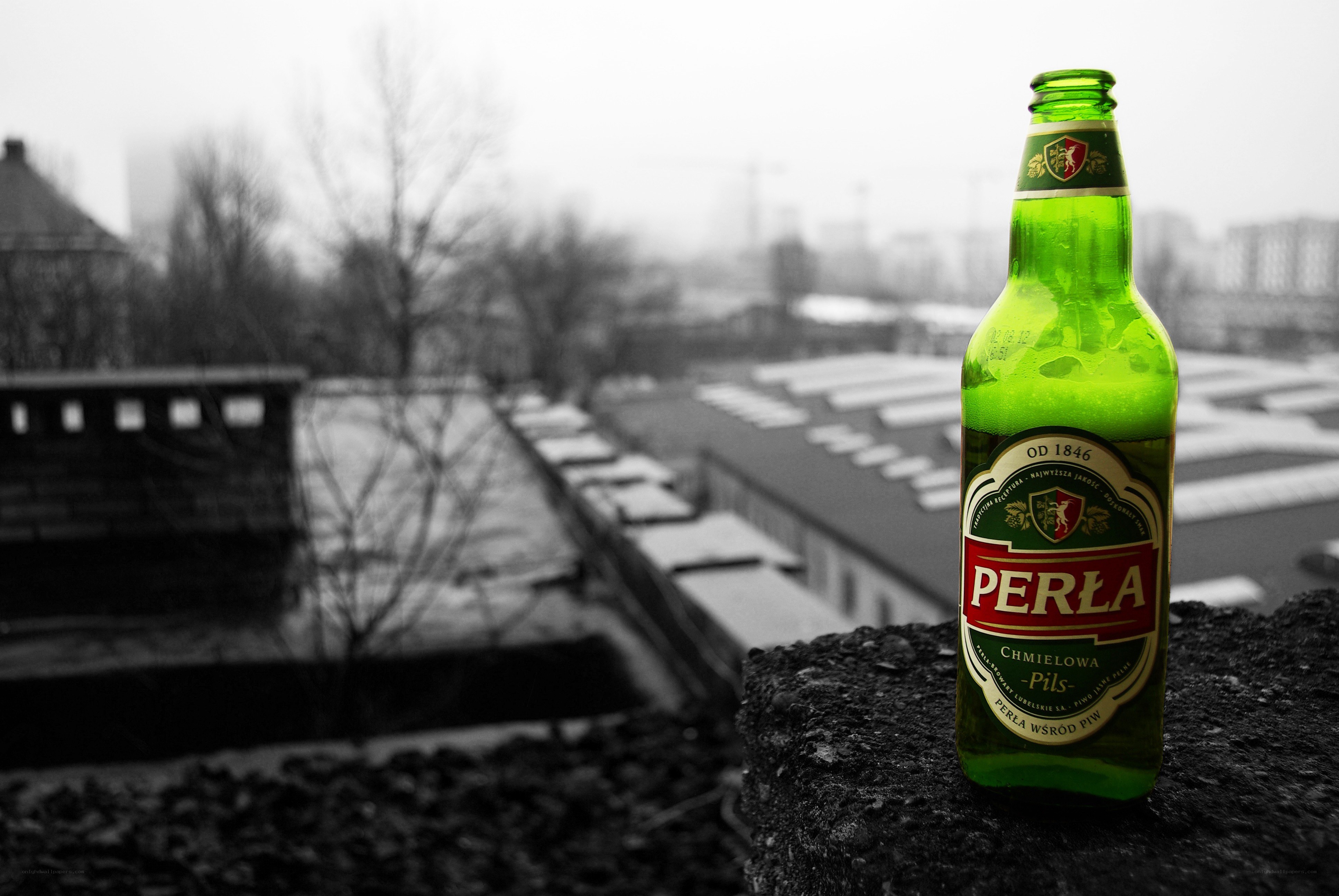 Green beer bottle on a rooftop