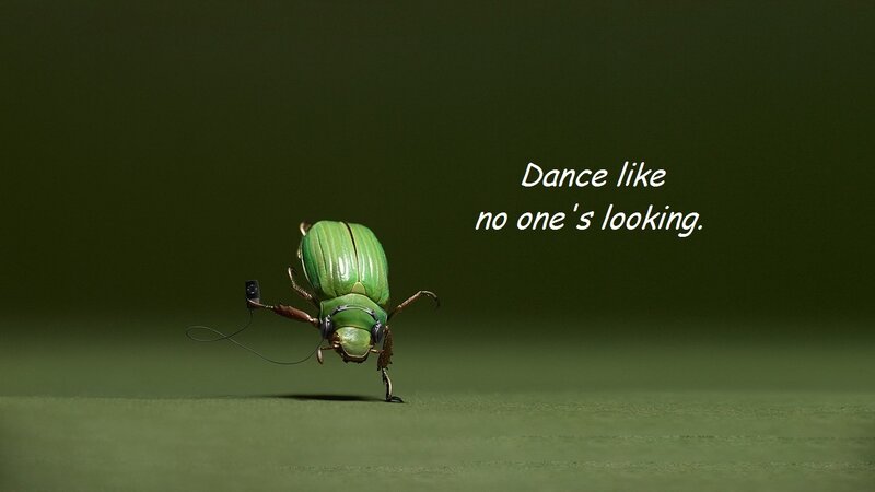 Green Beetle Dancing