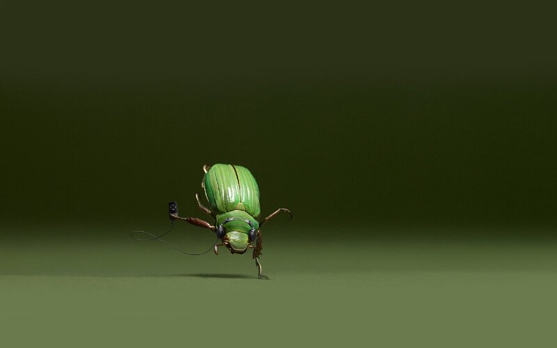 green beetle with camera