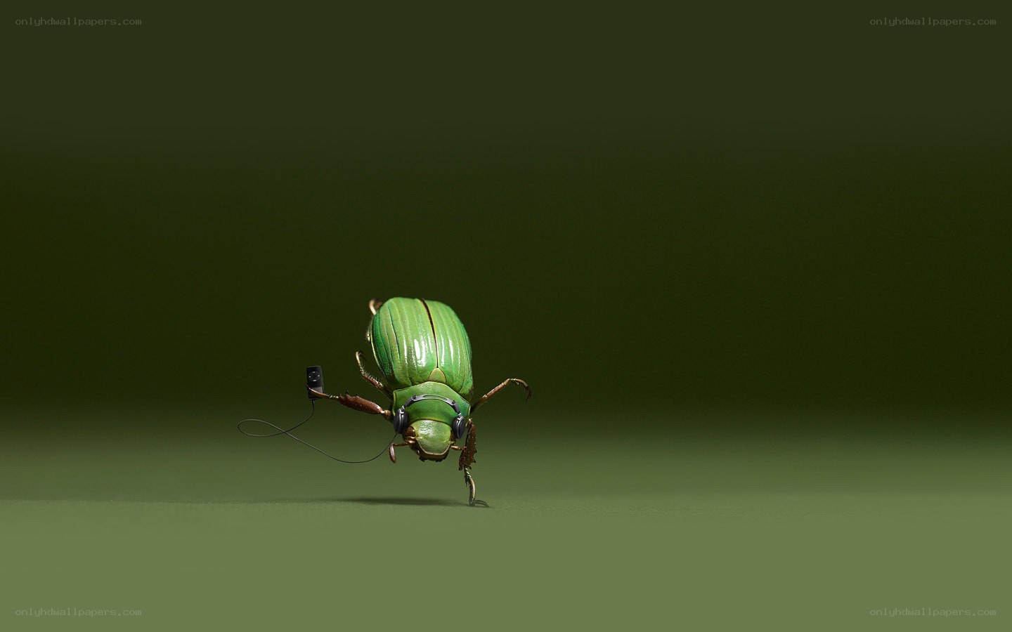Green beetle with headphones