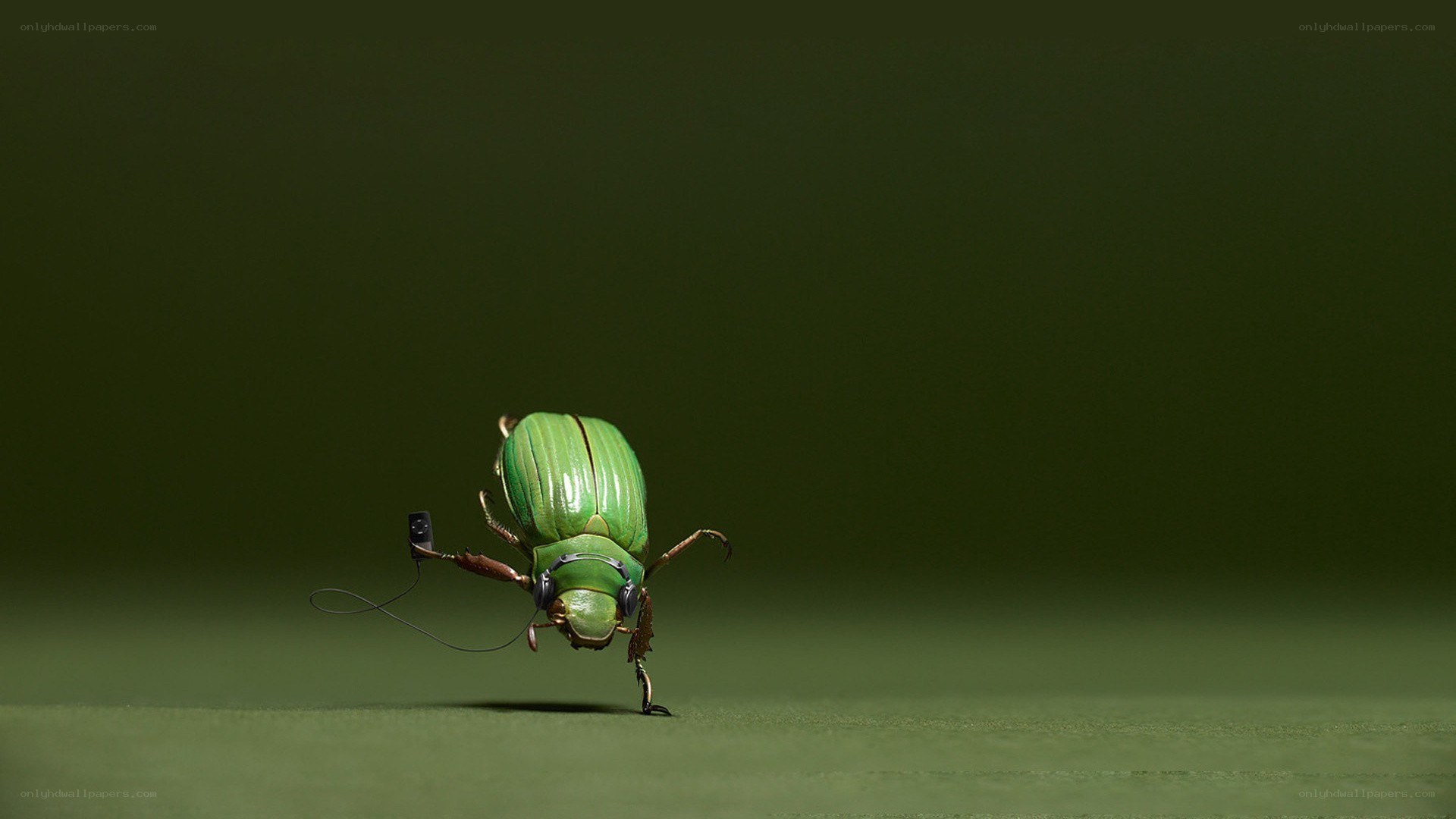green beetle with headphones