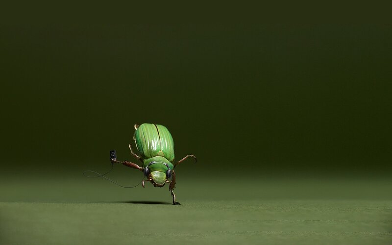 Green beetle with headphones