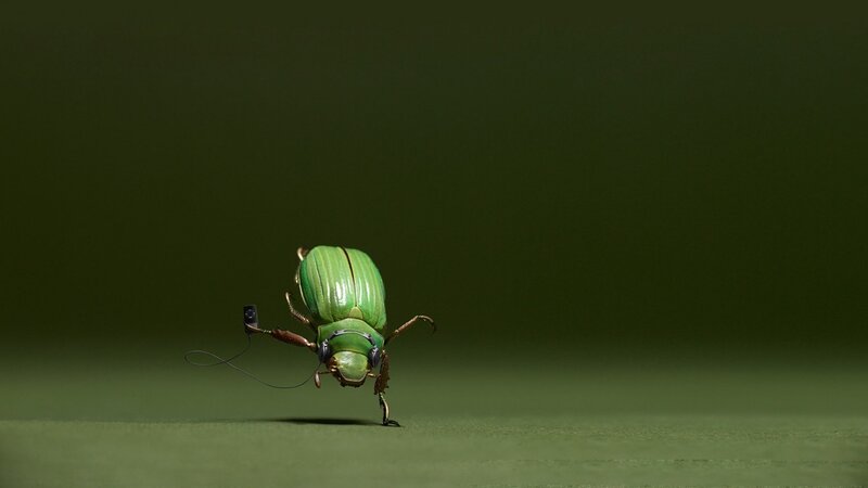 Green Beetle with Headphones — Dramatic