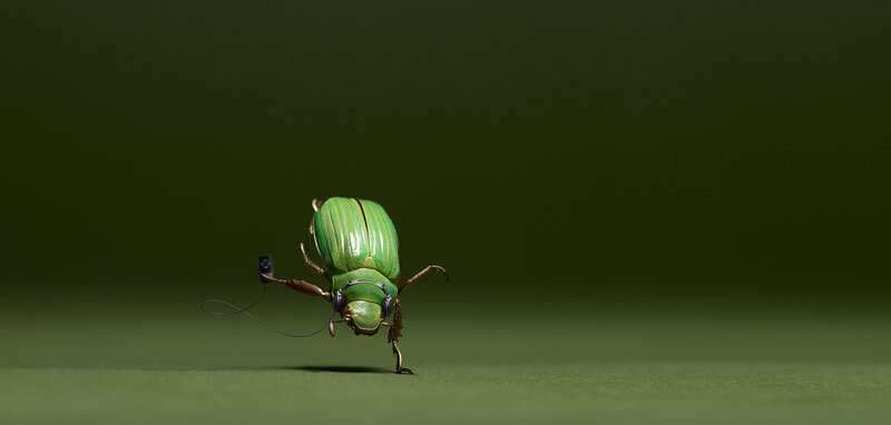 Green Beetle with Headphones — Playful, Photograph, Music Player