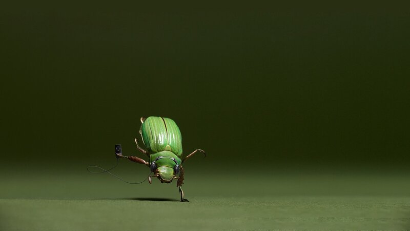 Green Beetle with Headphones — Playful