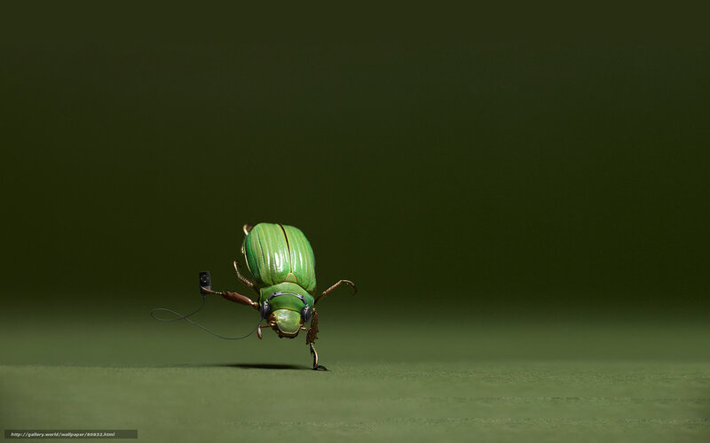 Green beetle with headphones