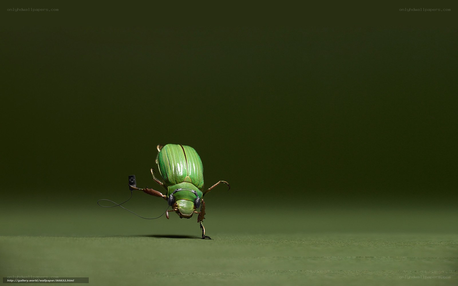 Green beetle with headphones