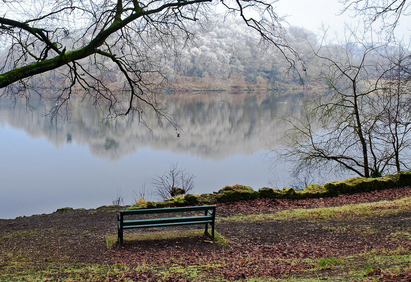 Green Bench by Lake