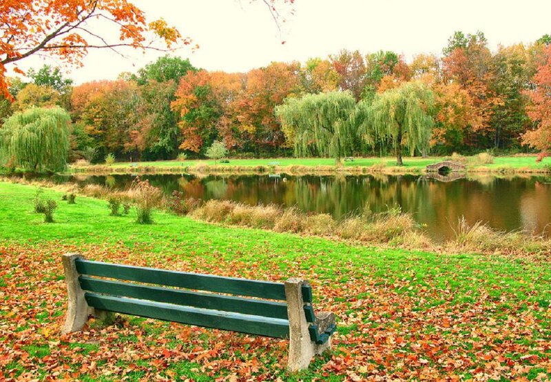 Green Bench by Pond