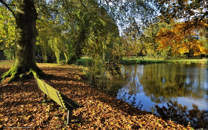 Green Bench by Pond — Yellow