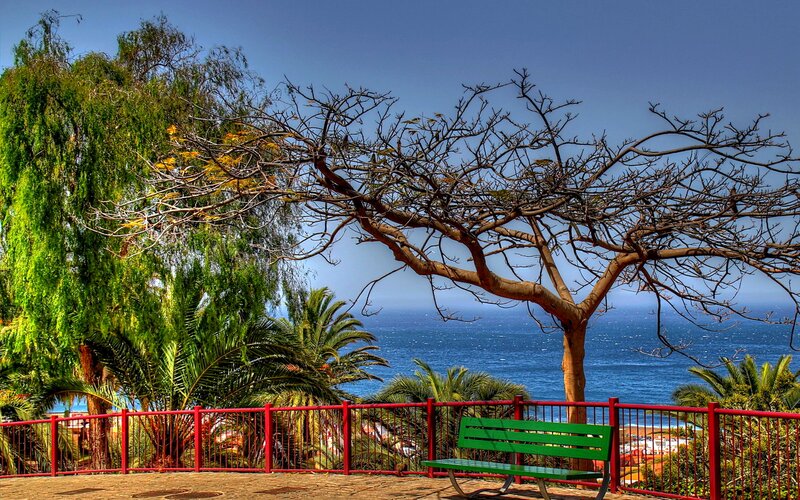 Green Bench by Sea