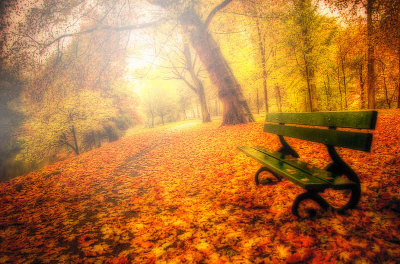 Green Bench in Autumn