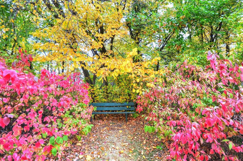 Green Bench in Autumn — Yellow