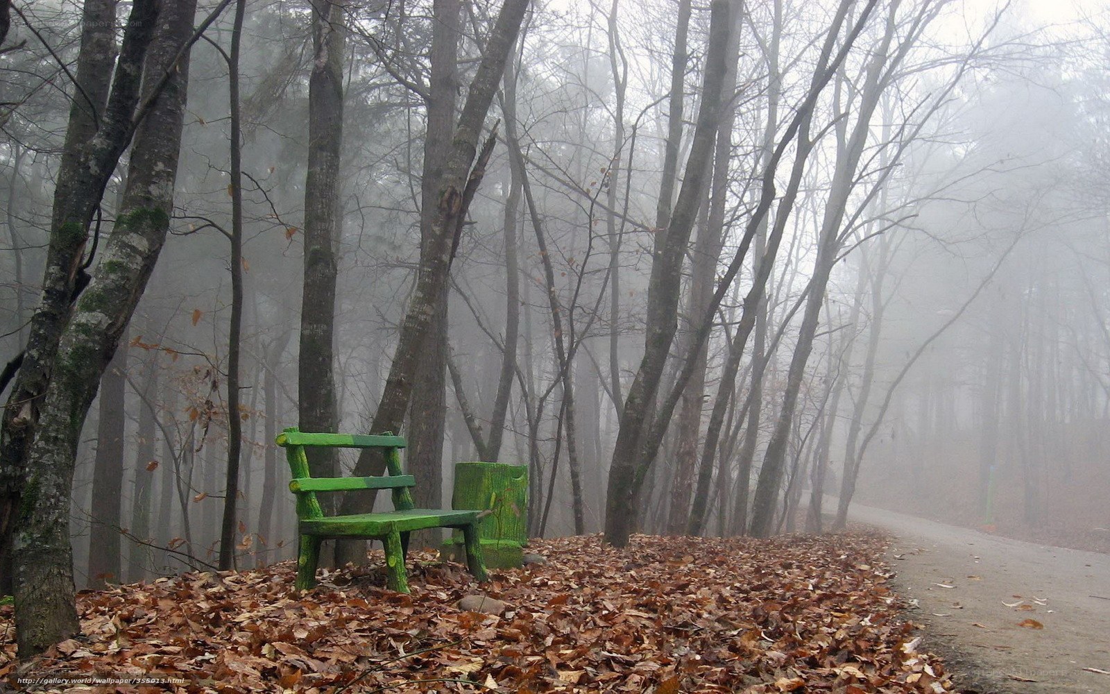Green bench in foggy forest