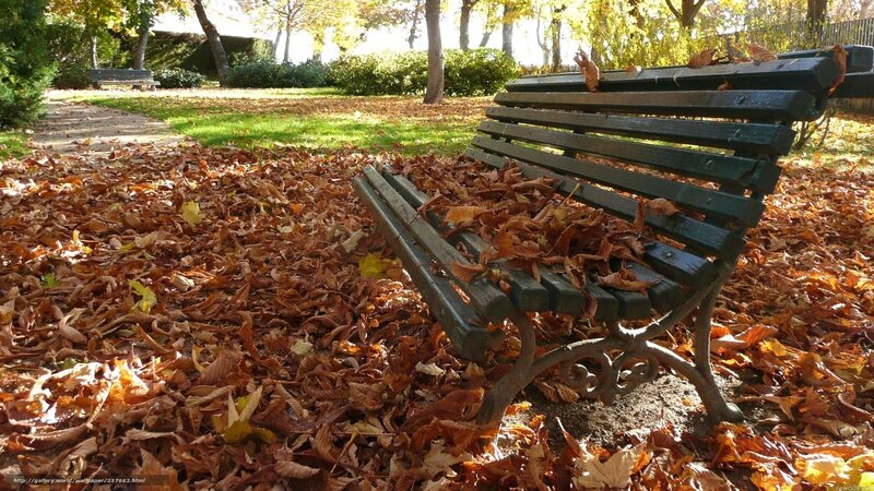 Green Bench in Leaves — Brown