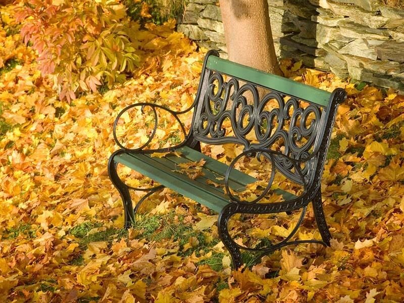 Green Bench in Leaves