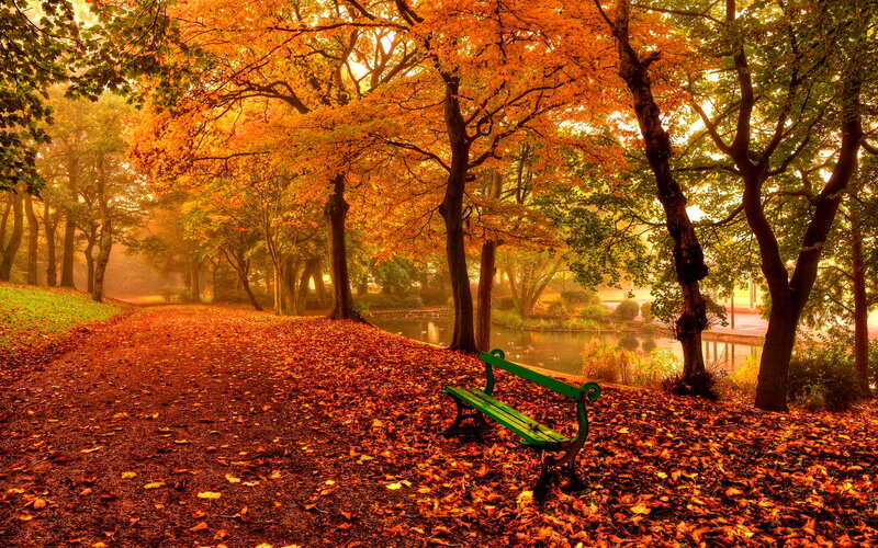 Green Bench in Park — Orange, Serene, Autumn