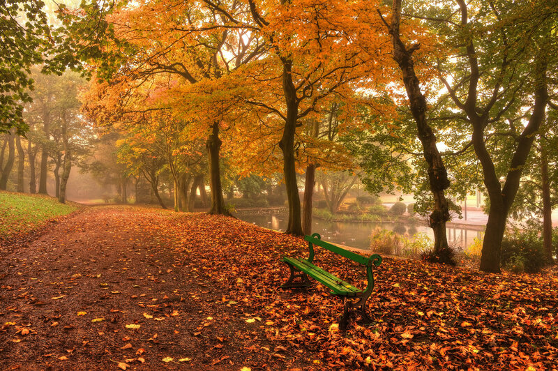 Green Bench in Park — Orange, Serene