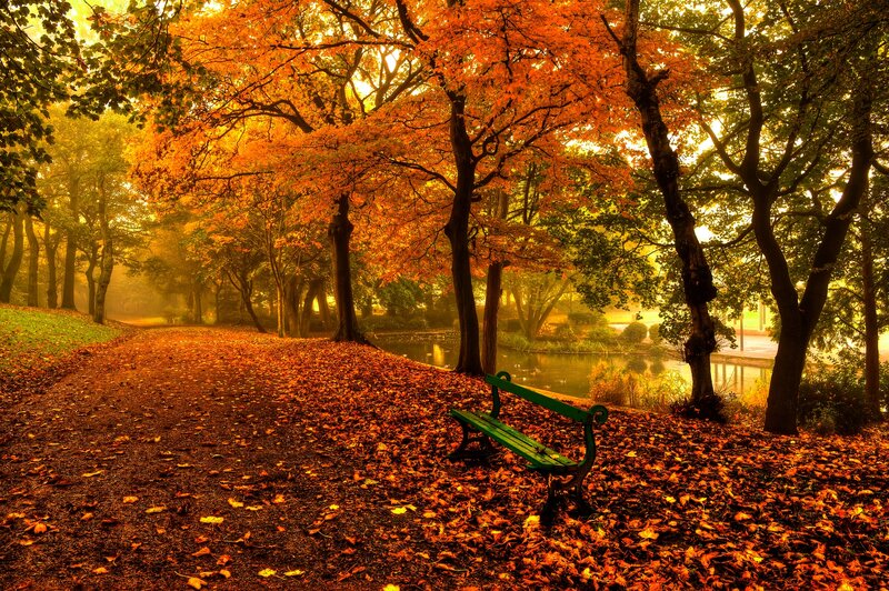 Green Bench in Park — Orange