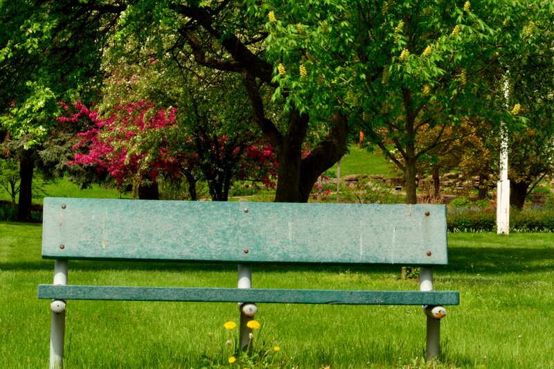 Green Bench in Park — Serene